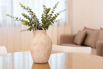 Capuchinos Suites Guest Homes Malaga — foto 12