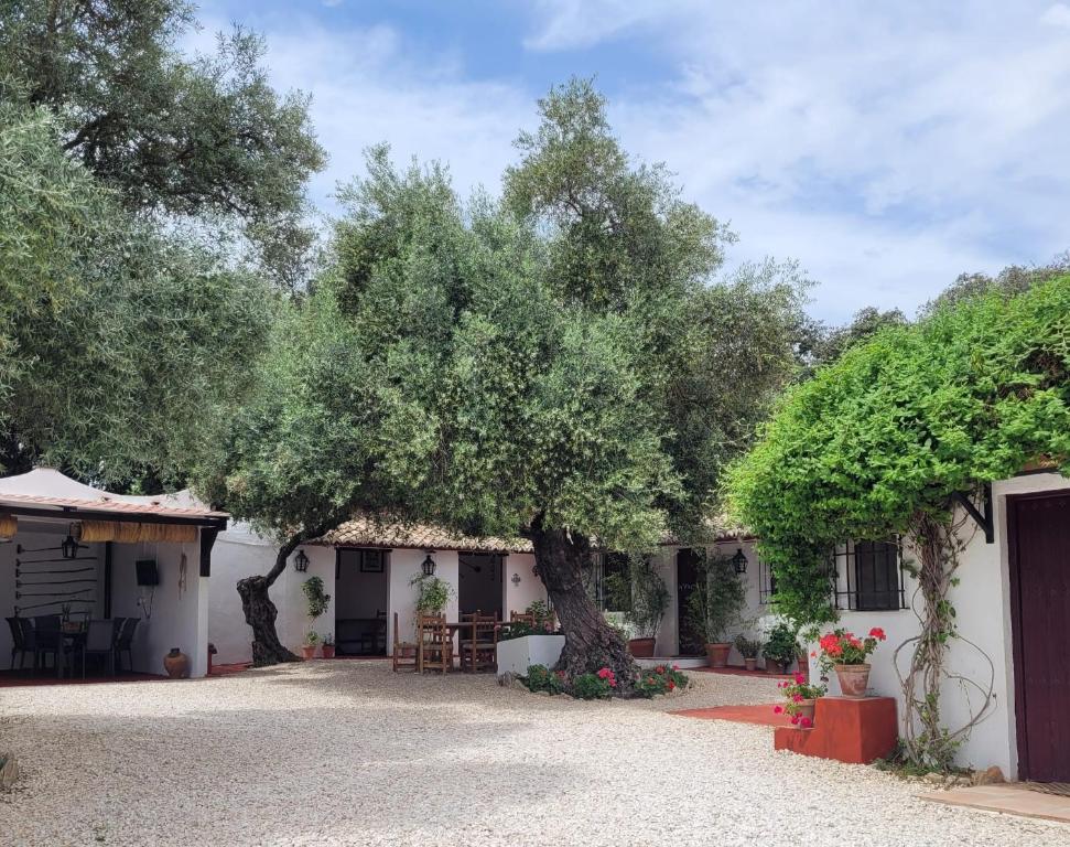 Casa Abanto
