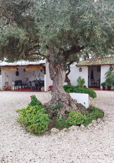 Casa Abanto — photo 7