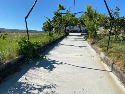 “Casa abella “ — foto 3