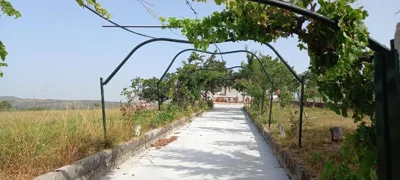 “Casa abella “ — foto 4