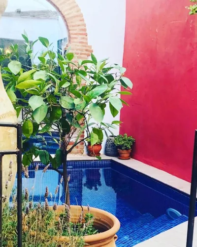 Casa Aire de Lecrin — foto 7
