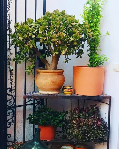 Casa Aire de Lecrin — foto 9