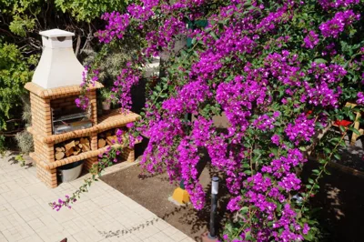 Casa Aloe — 写真 7