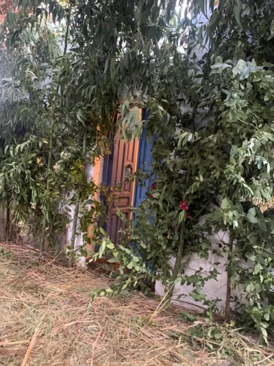 Casa Alondra — foto 12