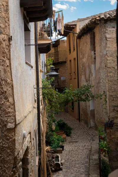 Casa Alta — foto 7