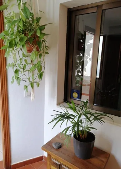 Casa Amaia — foto 10