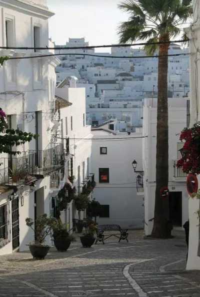 Casa amaro — foto 8