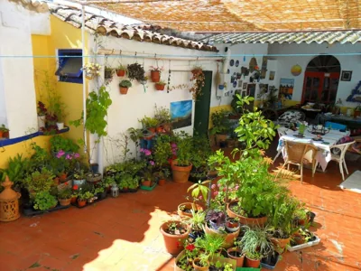 Casa Annette — photo 11