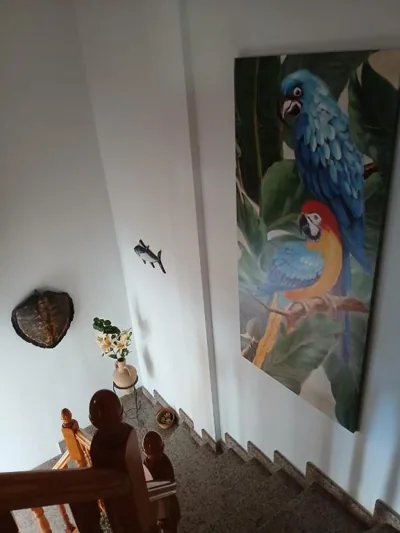Casa Antonio — 写真 11