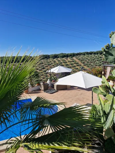 Casa Araflo — Foto 4