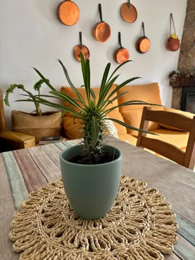 Casa Árbol — 写真 9