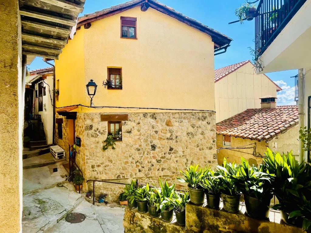 Casa Artista