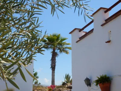 Casa Azafranes - Boutique B&B - Arenas — 写真 5