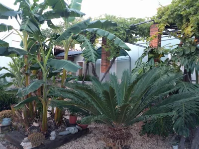 Casa Baleso — foto 12