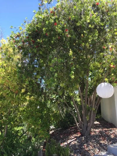 Casa Baliza, adults only — Foto 10