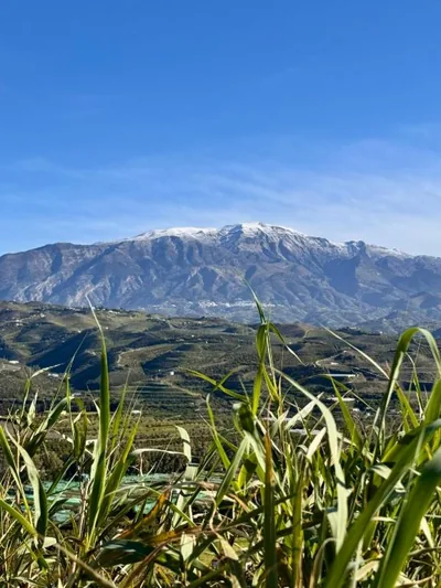 Casa Bambú Boutique Studios Andalusië with pool and Mountain Views — 写真 7