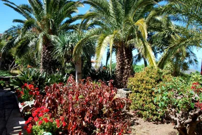 Casa Bana 2 — photo 10