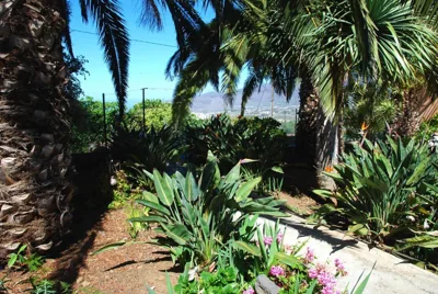 Casa Bana 2 — photo 12