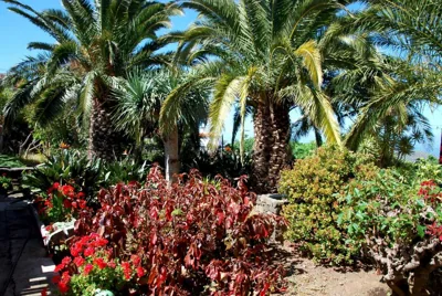 Casa Bana I — foto 11