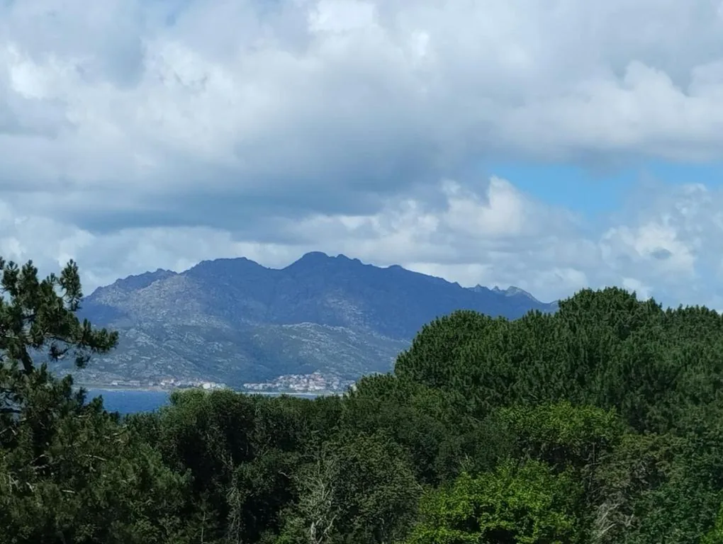Habitación Doble con vistas al parque — CASA Beirada Monte y Playa