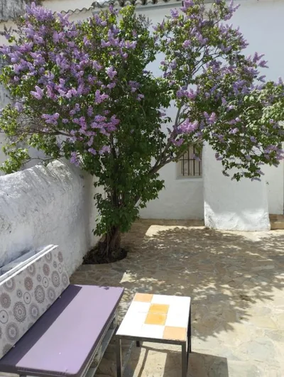 Casa Béjar, Tranquila casa con chimenea, patios, junto a la piscina — foto 9