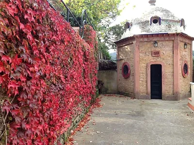 Casa Belladona - Barcelona Forest House — foto 10