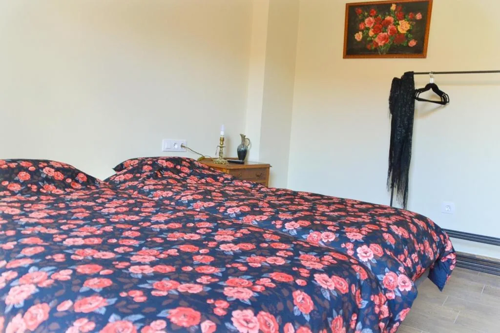 Doppelzimmer mit eigenem Bad – 2 Betten — Casa Bienvenida - Carcaixent