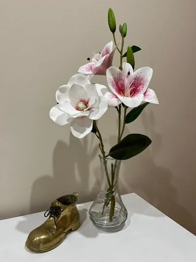 Casa Branca — foto 11