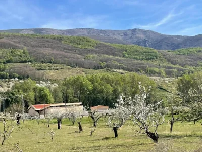 CASA BRIGIDA — foto 6