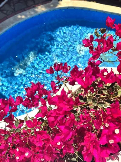 Casa Buganvilla — Foto 3