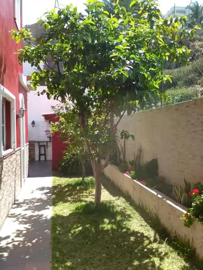 Casa Buganvilla — foto 6
