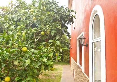 Casa Buganvilla — foto 11