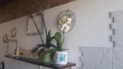 Casa Burgos — 写真 3
