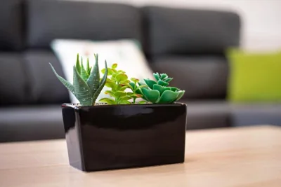 Casa Cactus — Foto 12