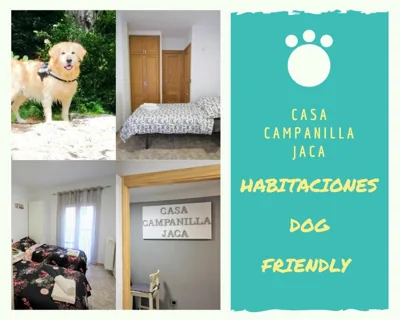 Casa Campanilla Jaca — foto 9