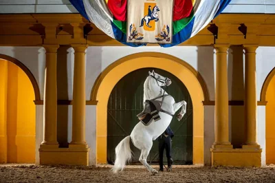 Casa Campiña Jerezana — foto 6