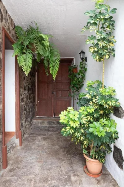 CASA CANARIA ACERÓ — foto 12