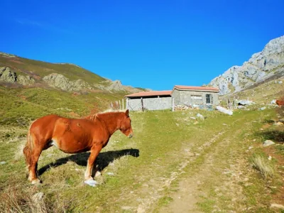 Casa Candana — photo 12