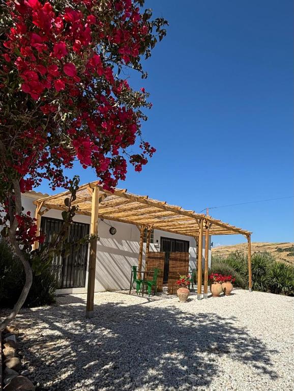 Casa Carla Andalucia, el Torcal