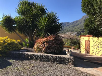 Casa Casilda — 照片 6