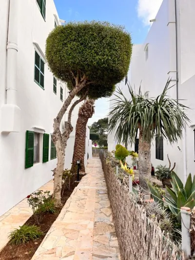 Casa Ceiba Maria — 写真 11