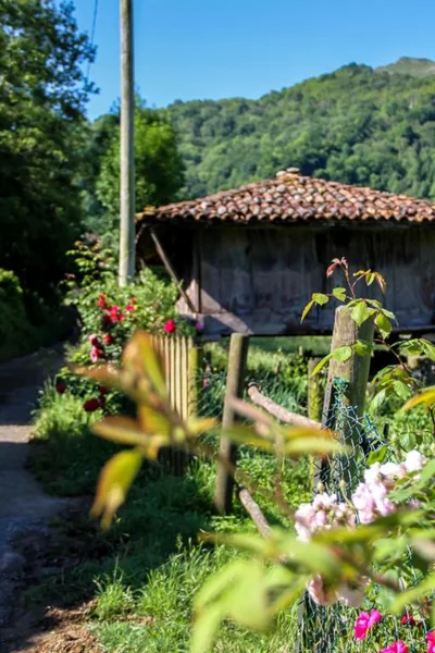 Casa Clarita — foto 11