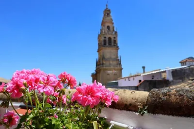 Casa con encanto en la judería de Córdoba — photo 11