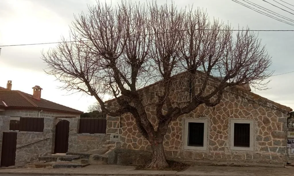 Casa de 2 dormitorios — Casa con patio La Morera, Ávila
