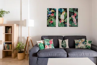 Casa Da Roca Medano - Beach House & Terrace — 写真 10