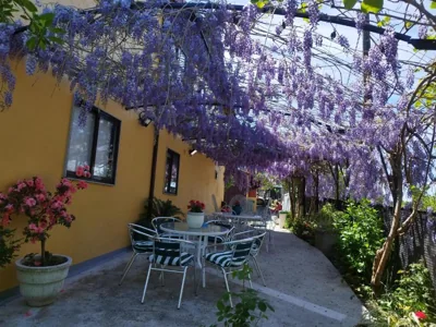 Casa Da Vieira — foto 12