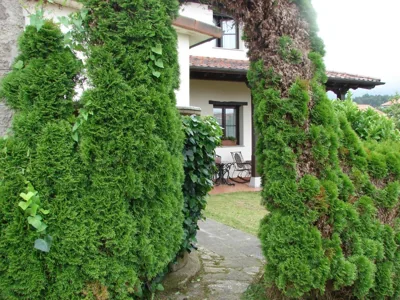 Casa de Aldea Los Duesos — foto 12