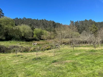Casa de Campo Pumarada de Oirín — foto 11