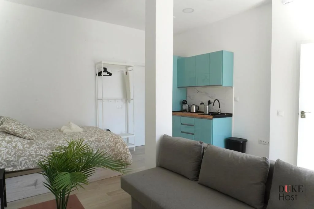 Studio — Casa de Huéspedes Carabanchel1